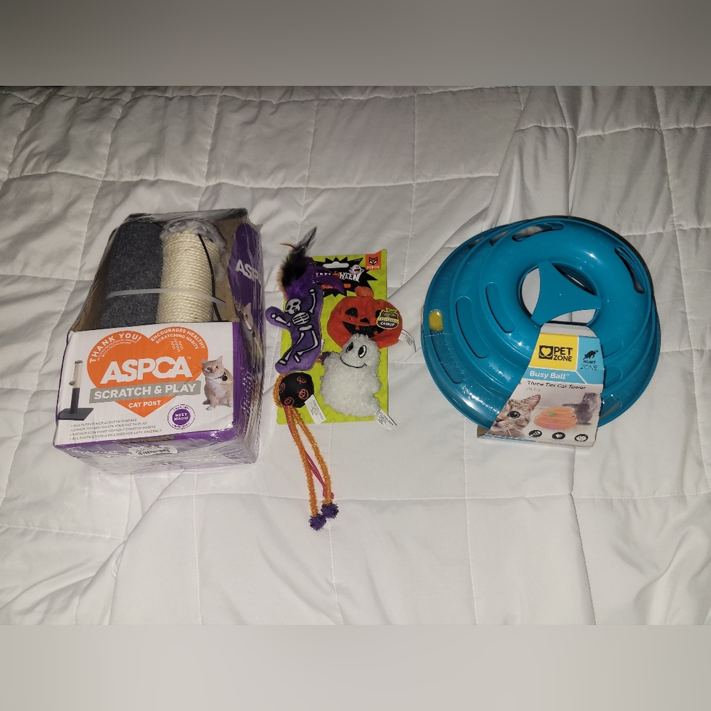 Cat Accessory Bundle